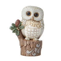 Jim Shore Heartwood Creek - White Woodland Owl on Tree Stump Holly Figurine 6011620