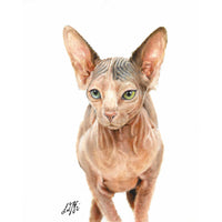 Original Cat Portrait Oil Painting - Sphynx