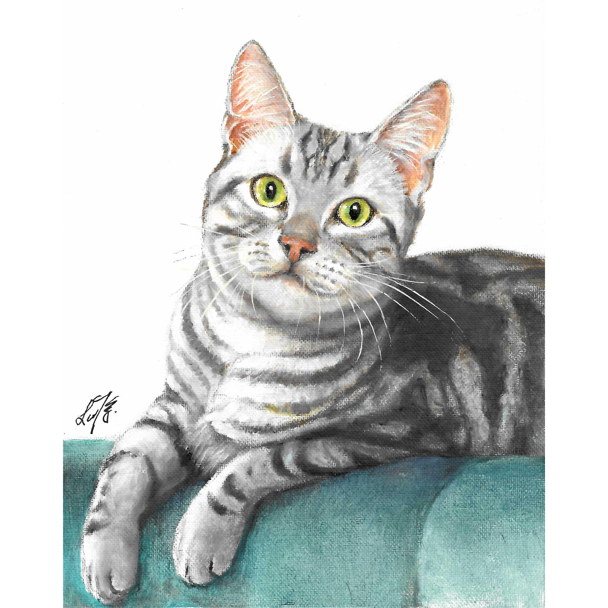 Original Cat Portrait Oil Painting - American Shorthair Silver