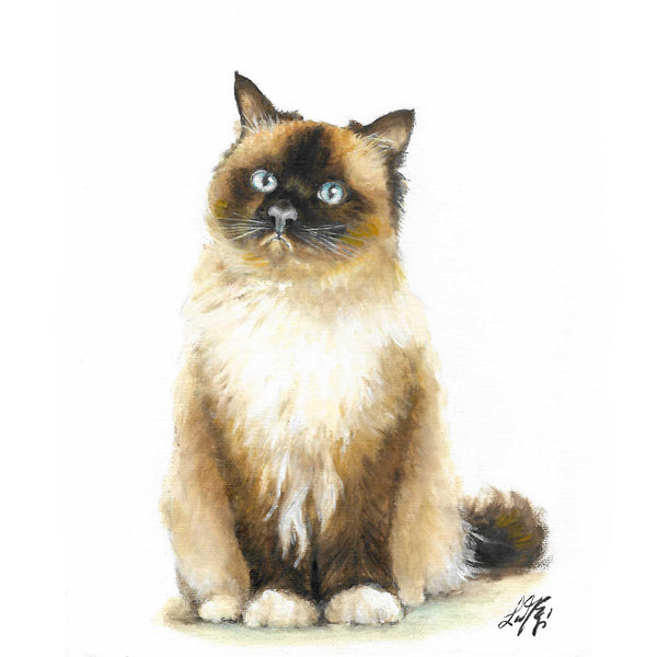 Original Cat Portrait Oil Painting - Mix