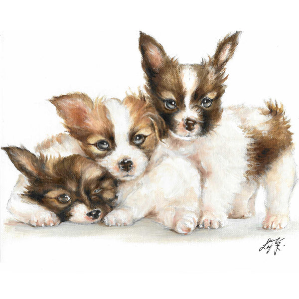 Portrait Of A Chihuahua-papillon Mix - Framed Print by