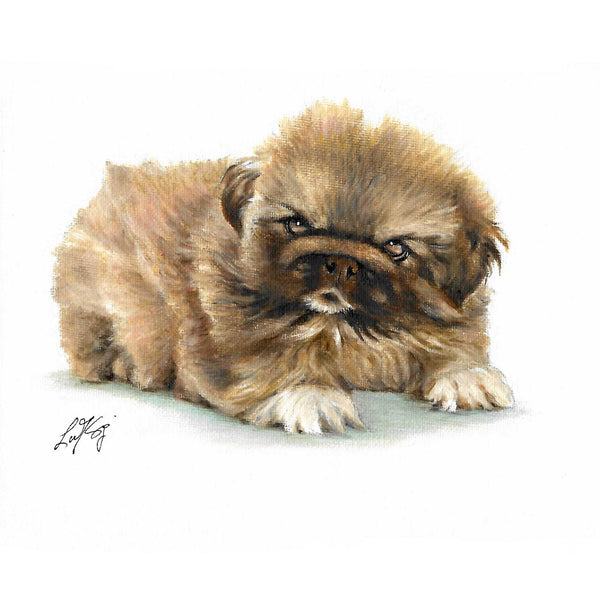 Original Dog Portrait Oil Painting - Pekingese Puppy