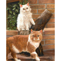 Original Cat Portrait Oil Painting - Selkirk Rex