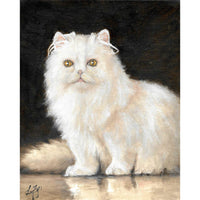 Original Cat Portrait Oil Painting - White Persian